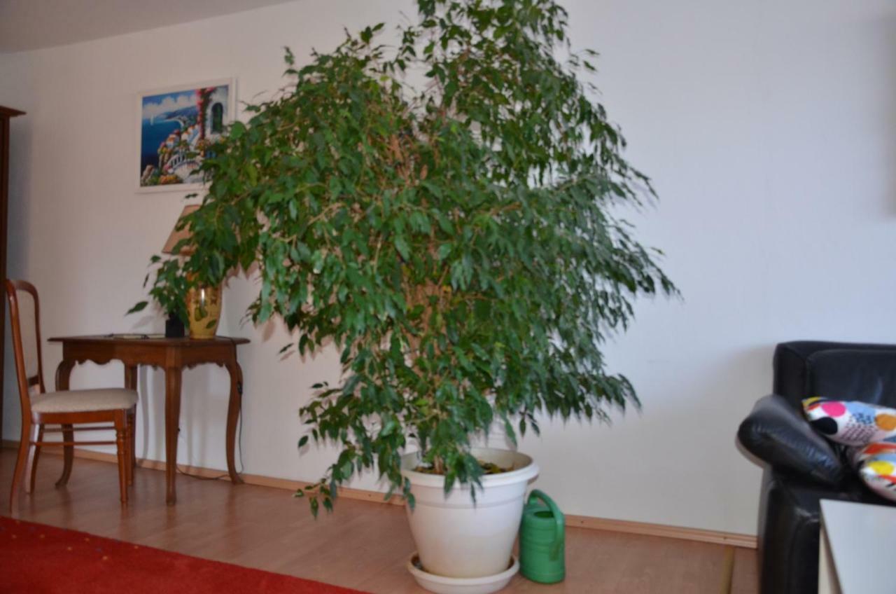 Ferienwohnung Pascale Mettlach Extérieur photo
